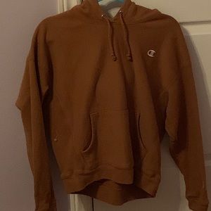 Brown champion hoodie